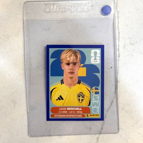 2026 panini fifa world cup - panini,