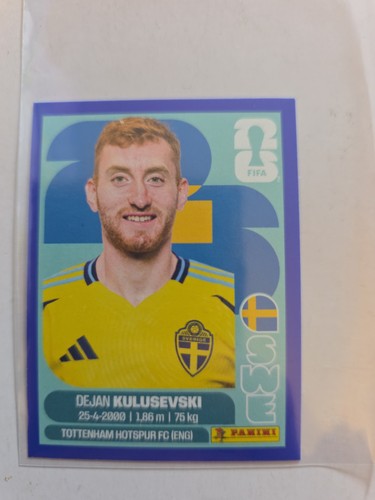 2026 panini fifa world cup - panini,