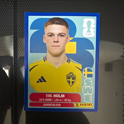 Panini fifa world cup - world,